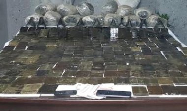 في 4 محافظات.. ضبط 5 أشخاص بحوزتهم مواد مخدرة خلال حملة أمنية