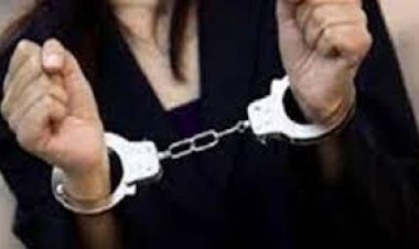 سقوط مستريحة سوهاج بعد استيلائها على مليون و550 ألف جنيه