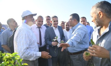 محافظ الغربية يشهد بدء جني الذهب الأبيض.. ويناقش دور الفلاح في الجمهورية الجديدة