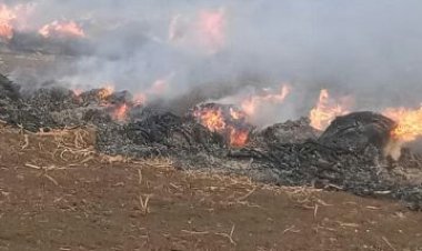 جهاز شؤون البيئة بمحافظة الشرقية يحرر 56 محضرًا حرق «قش أرز»