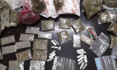 سقوط 6 عناصر إجرامية بحوزتهم كميات من مخدر الحشيش بـ 3 ملايين جنيه بالشرقية والإسماعيلية