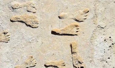 أكتشاف  أقدم أثار أقدام ويعود تاريخها إلي 20 ألف عام