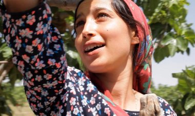 إطلاق فيلم تحت الشجرة في سينماتيك طنجة خلال أكتوبر الجاري