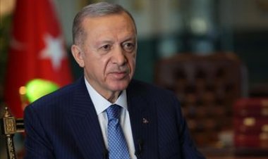 صحيفة تركية: أردوغان يعتزم الدخول على خط التسوية بين إسرائيل وفلسطين