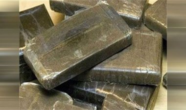 بـ 2 مليون جنيه.. ضبط 3 تجار كيف وبحوزتهم كمية كبيرة من المواد المخدرة
