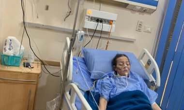 مدربة الأسود فاتن الحلو تتعرض لأزمة صحية