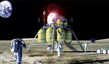 دراسة فرنسية تبحث تربية الأسماك على القمر