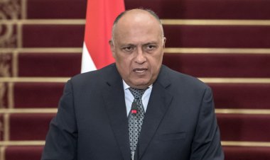 وزير الخارجية: مصر تعمل على تسهيل وصول المساعدات الإنسانية إلى غزة