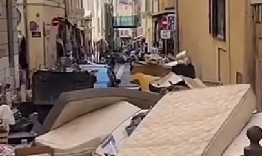 «البق» تواصل مطاردتها لسكان فرنسا والجميع يلقون أثاثهم في الشوارع (فيديو)