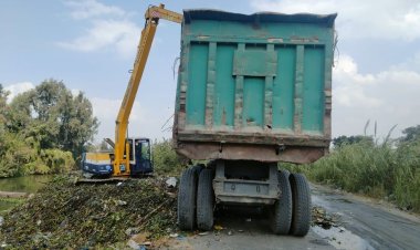 محافظ كفر الشيخ: رفع 1990 طن قمامة و24 طن من تطهير الترع بـ 14 مراكزاً ومدينة