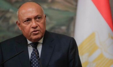 «شكري»: وزير خارجية إيطاليا بحث مع الرئيس السيسى الأوضاع فى غزة