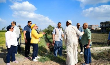 جولة مفاجئة لوزيرة البيئة بالبحيرة لمواجهة نوبات تلوث الهواء الحادة