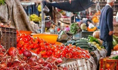 بنسبة 10%.. تراجع أسعار الطماطم والبصل بالأسواق