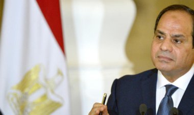 بأمر السيسي.. انطلاق قوافل محملة بالمساعدات الإنسانية للشعب الفلسطينى (صور)
