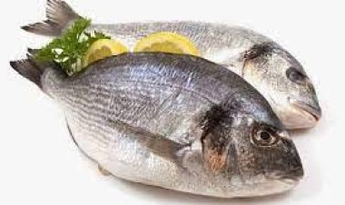 تفسير حلم السمك للمتزوجين 