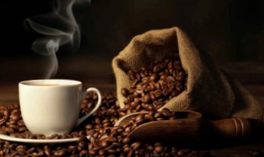 باحثة بمعهد تكنولوجيا الغذاء: «شرب القهوة يصيب الإنسان بالجفاف»