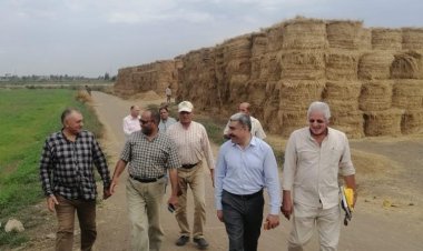 «الزراعة» تتابع الاستعداد لزراعة القمح وجمع وتدوير قش الأرز بكفر الشيخ