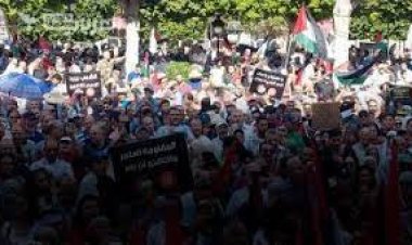 مسيرة حاشدة في تونس: «الشعب يريد تحرير فلسطين»