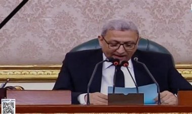 «تحيا إسرائيل» تربك برلماني داخل المجلس.. وتعليمات صارمة بحذفها  (تفاصيل)