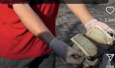 «كلمات الله لا تحترق».. بقاء مصحف من قصف «المعمداني» يُثير الجدل