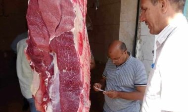 ضبط 83 مخالفة متنوعة خلال حملات على المخابز البلدية والأسواق في المنيا