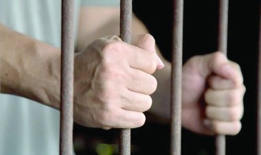 ضبط شخص لقيامه بإنشاء وإدارة شركة إنتاج فنى بدون ترخيص في الدقى 