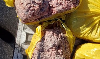 إعدام أغذية غير صالحة للاستهلاك الآدمي في رأس البر