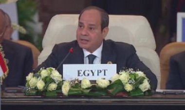 برلماني: كلمة الرئيس السيسي بـ قمة القاهرة للسلام تعبر عن موقف مصر الرافض لتصفية القضية الفلسطينية