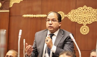 نائب بـ«الشيوخ»:  قمة القاهرة للسلام تحول كبير في دور مصر لدعم القضية الفلسطينية