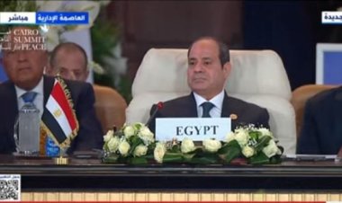 برلماني: كلمة الرئيس السيسي كانت حاسمة لأي محاولات خارجية تدعو لخلع الفلسطينيين من بيوتهم