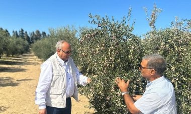 رئيس مركز بحوث الصحراء يتفقد المحطات البحثية بشمال سيناء