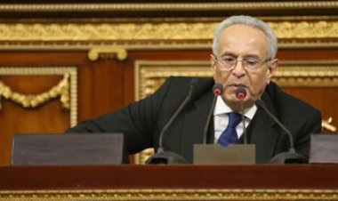 وكيل «الشيوخ» يطالب المجلس بإعداد مشروع قانون متكامل للنهوض بالزراعة فى مصر