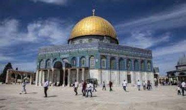 سؤال وجواب عن فلسطين للاذاعة المدرسية