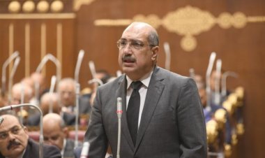 برلماني بـ«الشيوخ» يطالب بمواجهة السوق السوداء بشأن الأسمدة