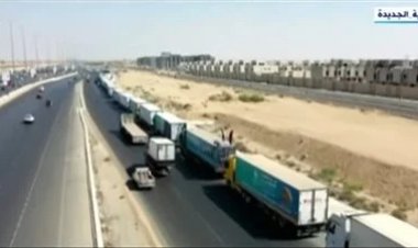 مفيدة شيحة: التيك توك كسر الصمت وفضح مجازر العدوان الإسرائيلي على غزة