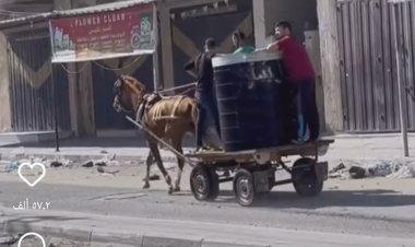 شاهد| عربات الكارو تتجول شوارع غزة بالماء والطعام