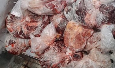 ضبط 41 طن لحوم ومصنعاتها ودواجن وكبدة غير صالحة للاستهلاك الآدمي في الجيزة
