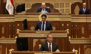 «الزراعة» لنواب الشيوخ: «كارت الفلاح»  قضى على صرف الأسمدة للأراضى البور