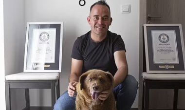 وفاة أكبر كلب في العالم