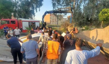 سقوط شجرة يتسبب فى  مصرع سائق وتحطم سيارتين بأسيوط 
