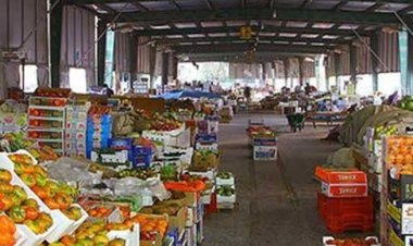 خبير اقتصادي: الدولة المصرية تستهدف إنشاء أسواق جملة مركزية