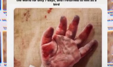 7 أيام عمر طفلة فلسطينية مستشهده برصاص الاحتلال تحرق قلوب العالم حزنًا