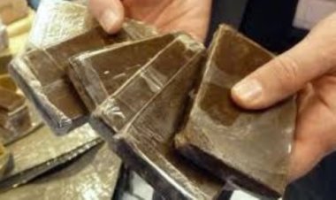 القبض على زوجين بحوزتهما «10 طرب حشيش» في بولاق الدكرور