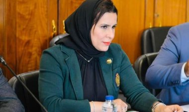 نيفين الكاتب: السيسي يدرك المخططات الخبيثة لجر مصر إلى دائرة الصراع في غزة