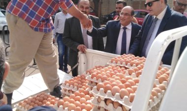 اطلاق ١٠ منافذ متحركة في ٨ محافظات لبيع بيض المائدة بأسعار مخفضة
