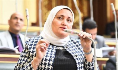 «برلمانية»: برنامج المرشح الرئاسي فريد زهران يقدم حلولاً واقعيةً لأزماتنا