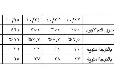 المتحدث الرسمي باسم مجلس الوزراء يوضح أسباب زيادة فترة انقطاع الكهرباء