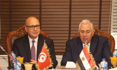 وزير الزراعة يبحث مع وزير الفلاحة التونسي تعزيز التعاون بين البلدين