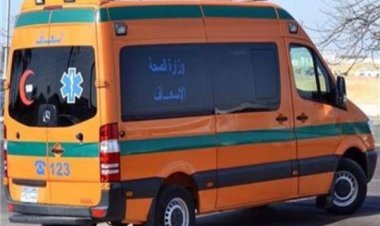 سيارة مسرعة تنهى حياة شخص فى البساتين 