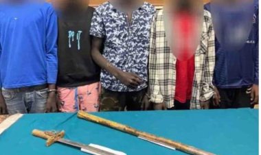القبض على 8 سودانيين بعد مشاجرة طاحنة بينهم بالأسلحة البيضاء فى عين شمس